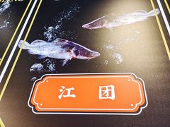 -蛙一刀·麻椒鱼火锅(金仙桥店)