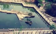-蛇蟠岛