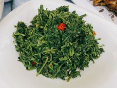 养生枸杞苗-老毛手抓·盐池滩羊手抓(宁夏总店)