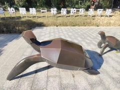 -广东惠东海龟国家级自然保护区