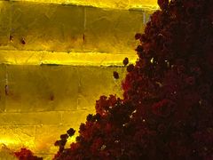 -万达广场(龙湖店)