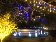 -杭州君悦酒店·青莳