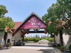 -上海海湾国家森林公园