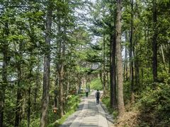 -莫干山风景区