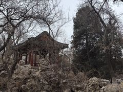 -宣武艺园