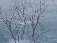 -黑龙潭风景区