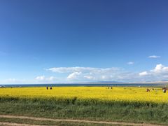 -青海湖国家重点风景名胜区