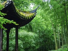 -香芙茗茶楼(梅家坞总店)