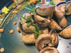 羞羞的蘑菇拳-烛影拾光观景餐厅·创意菜·摄影·小提琴(大唐不夜城店)