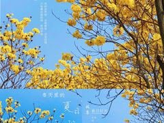 -松山湖风景区松湖烟雨
