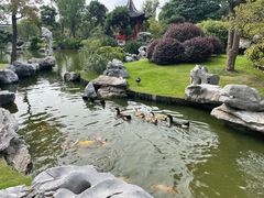 -怡园饭店-餐厅(四望亭店)