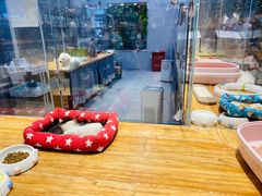 -狗道宠物(常熟印象城店)