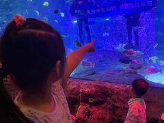 -沈阳海洋探索中心