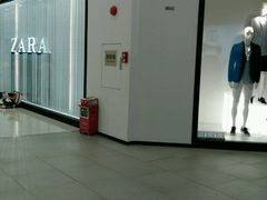-ZARA(凯德乐峰广场店)