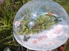 -横店影视城梦幻谷园区