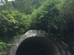 -太鲁阁公园
