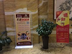 -醉翁水城