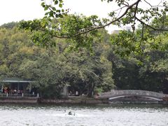 -荔湾湖公园