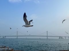 -星海广场