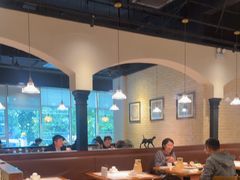 -三猫黑鱼花(南大店)