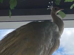 -昆明大悦城未来动物城(螺蛳湾中心店)