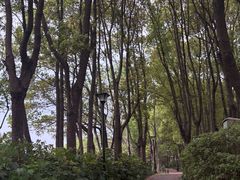 -美兰湖景区