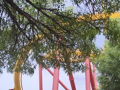 -北京欢乐谷