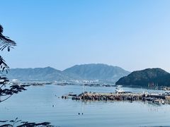 -东山珍珠岛