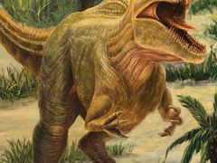-辽宁古生物博物馆
