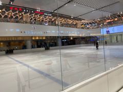-TheRink大零溜冰场(IFS国金中心店)