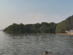 -宝安西湾红树林湿地公园