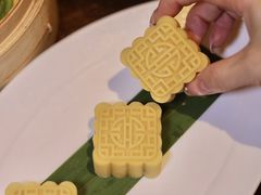 -乐忻皇朝(上海中心大厦店)