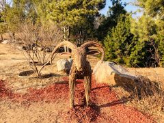 -北京西山国家森林公园