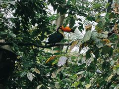 -广州长隆野生动物世界