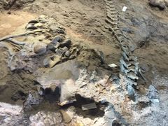 -世界恐龙谷景区