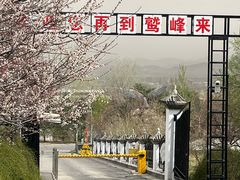 -北京鹫峰国家森林公园