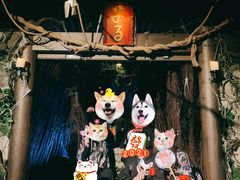 -夜幕浸入式超级密室(望京店)