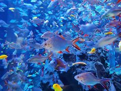 -成都浩海立方海洋公园