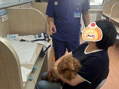 -北京观赏动物医院·24小时大型综合·猫专科·异宠专科