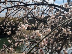 -白塘生态植物园