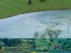 -靖西鹅泉风景区