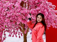 -广州热雪奇迹