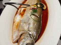 -醉庐·新上海菜(南京西路店)