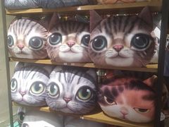 -猫咪博物馆(顶澳仔猫街店)