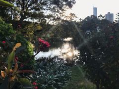 -晓港公园