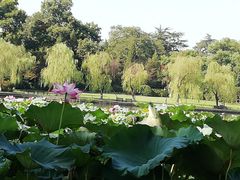 -苏堤停车场