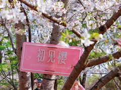 -自然谷恐龙园