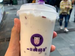 -一只酸奶牛(八一路店)