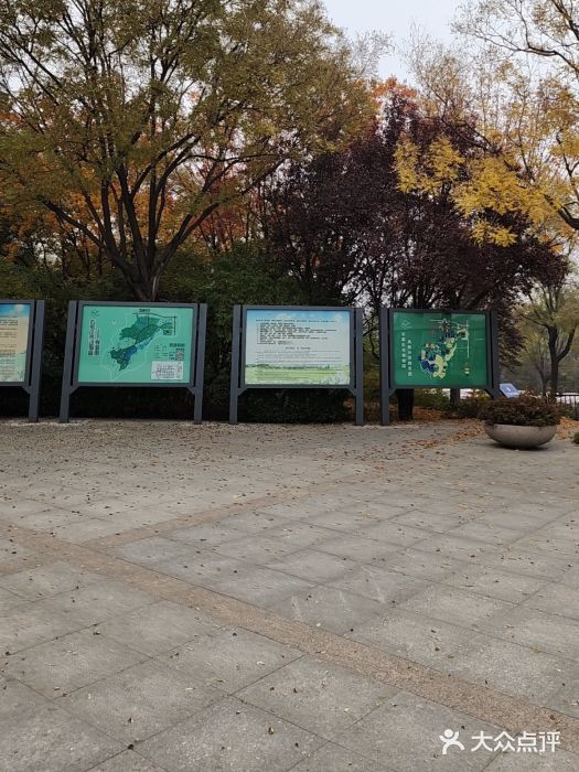 石家庄市动物园图片