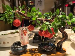 -唐猫庭院·千年陕菜(大唐不夜城店)